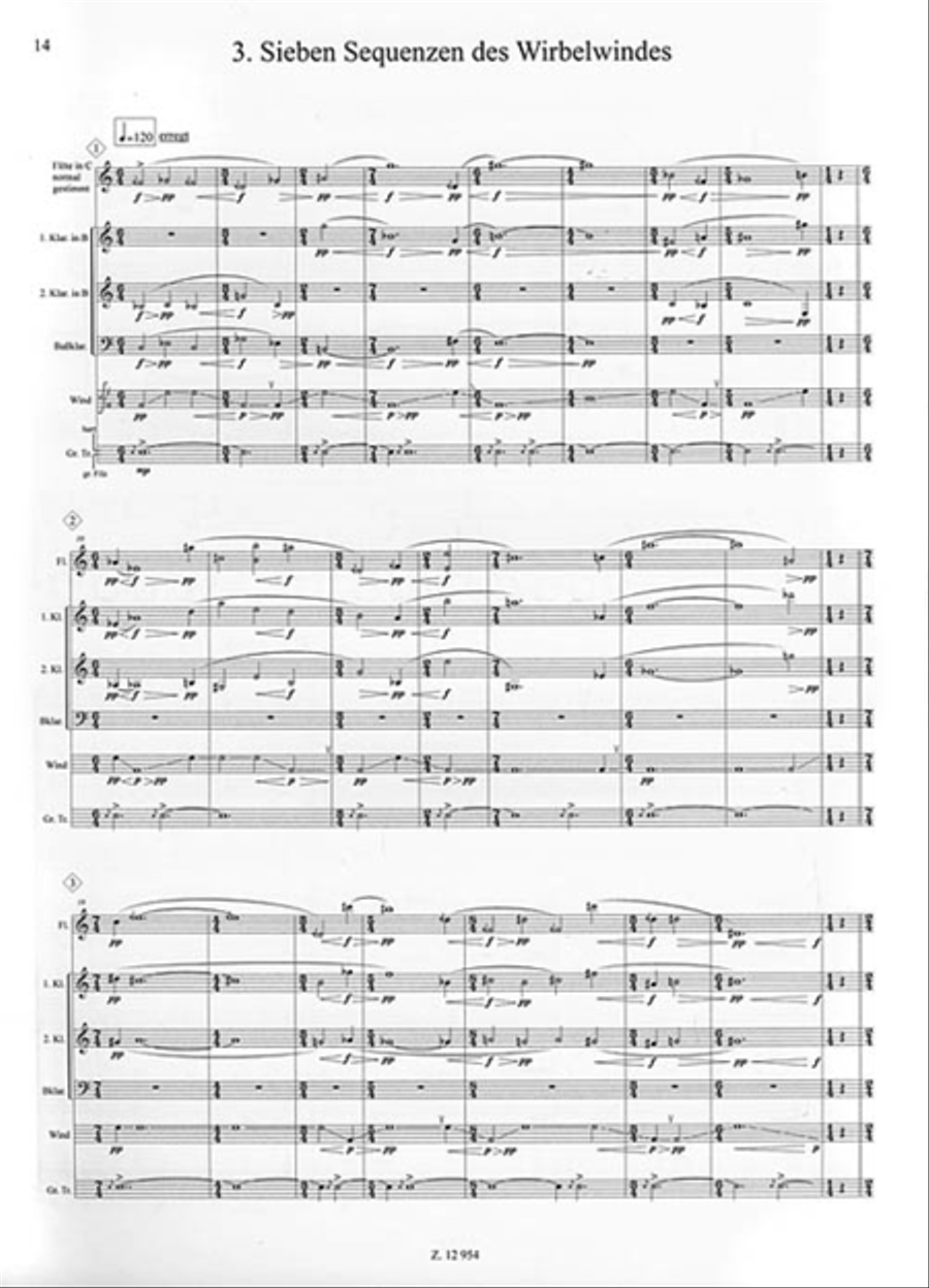 Windsequenzen for Flute and Ensemble Chamber Orchestra scores gallery preview page 3