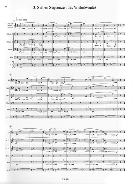 Windsequenzen for Flute and Ensemble
