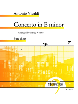 Book cover for Concerto in E Minor for Flute Choir