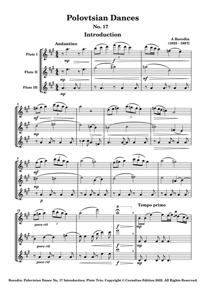 Alexander Borodin Polovtsian (Polovetsian) Dance No17 Prince Igor Flute Trio. Ensemble image number null