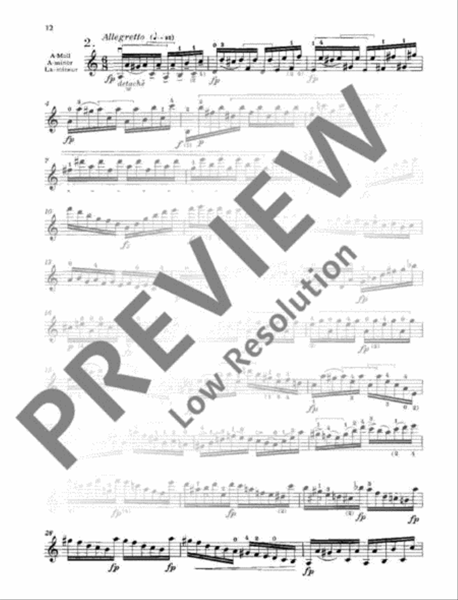 24 Caprices 24 Caprices Violin Solo scores gallery preview page 13