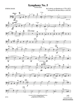 Symphony No. 5: String Bass