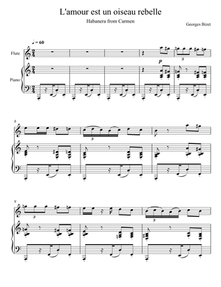 Georges Bizet- Habanera "L’amour est un oiseau rebelle" (Flute Solo)