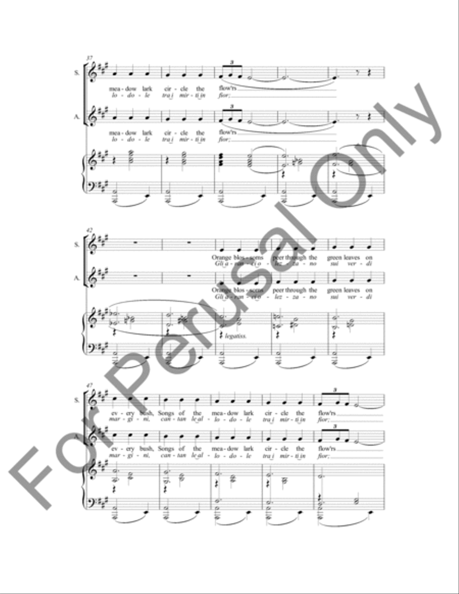 Song Of Spring 4-Part scores gallery preview page 4
