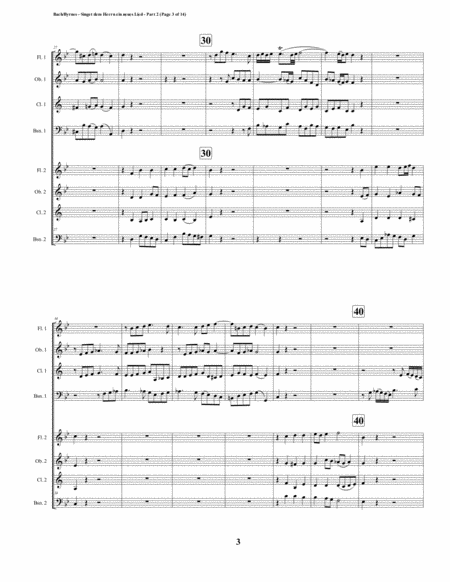 Singet dem Herrn ein neues Lied Motet – Part 2 & Alleluia by J.S. Bach (Double Woodwind Choir) image number null