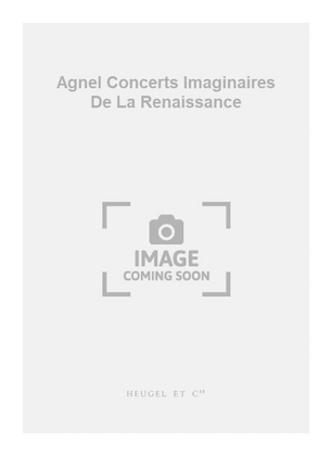 Agnel Concerts Imaginaires De La Renaissance