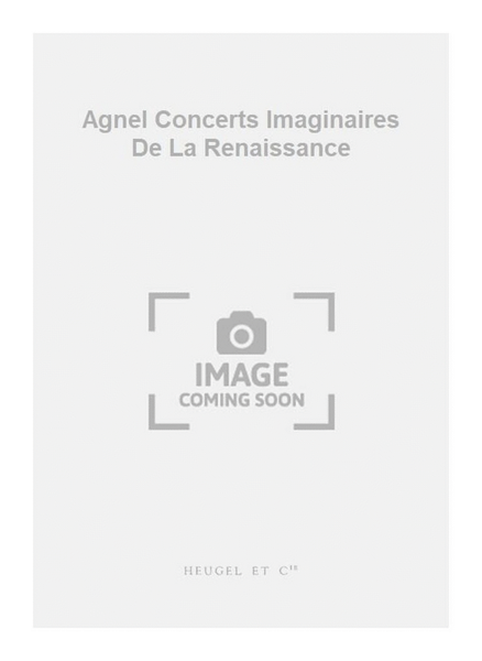 Agnel Concerts Imaginaires De La Renaissance