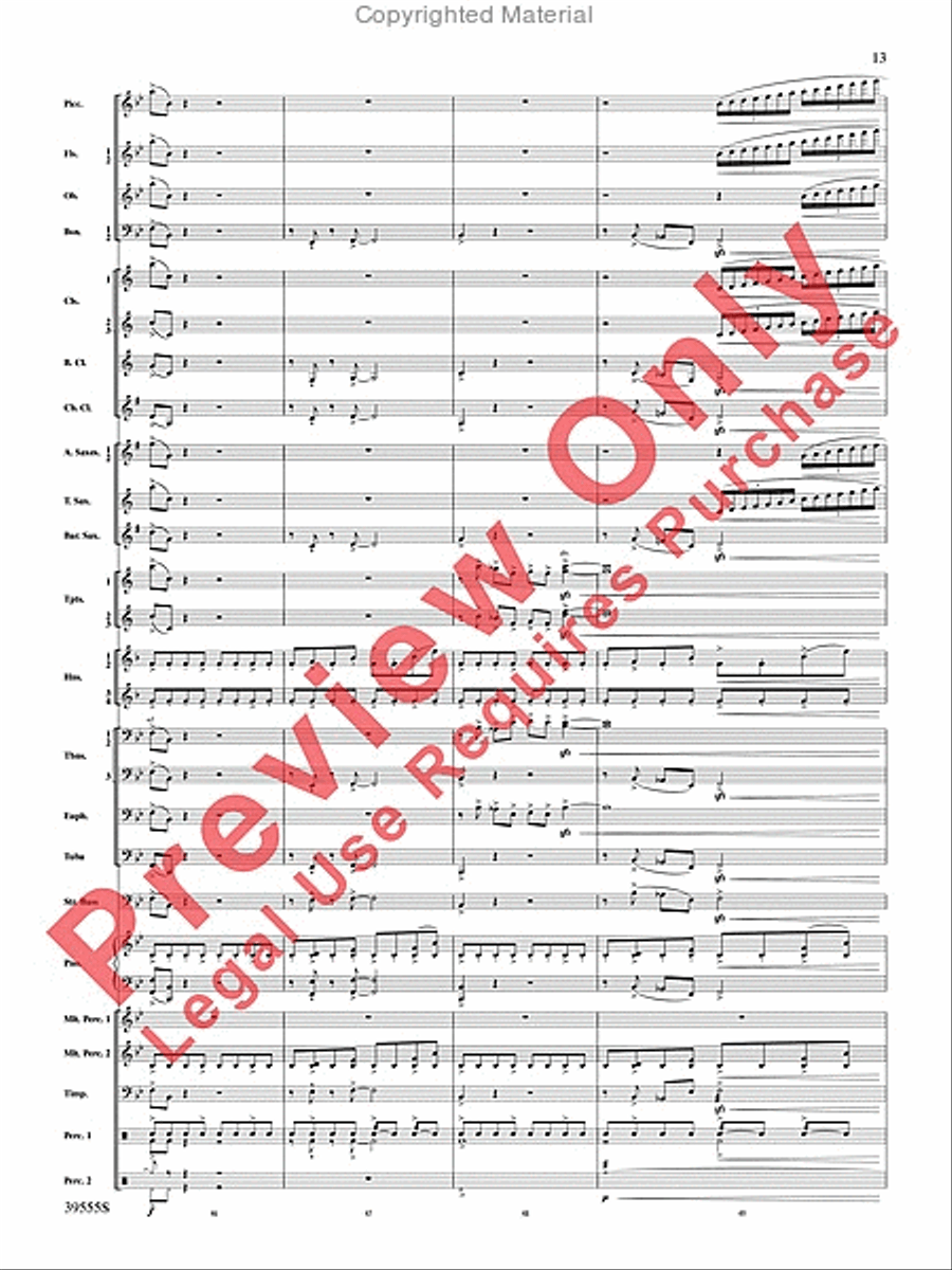 And Hope Led Them Home And Hope Led Them Home Concert Band scores gallery preview page 14
