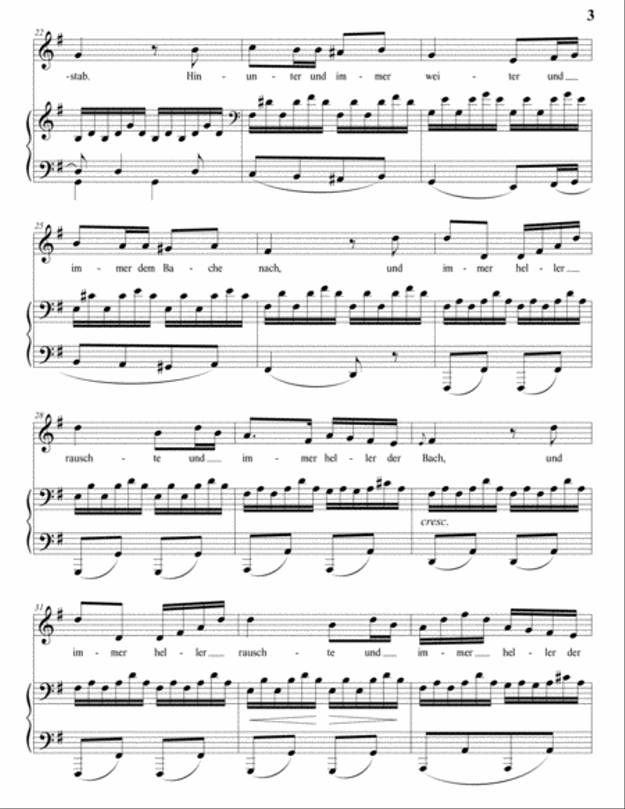 SCHUBERT: Wohin? D. 795 no. 2 (transposed to G major) Voice scores gallery preview page 4