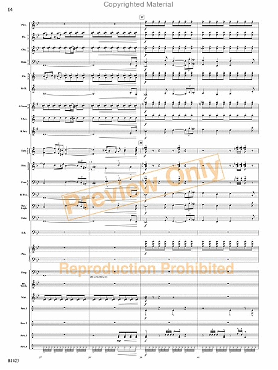 Dakota Fanfare Concert Band scores gallery preview page 13