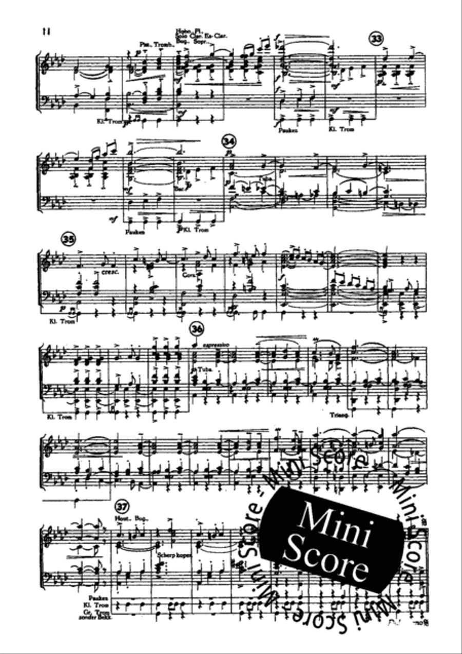 Zomerland Fanfare Band scores gallery preview page 13