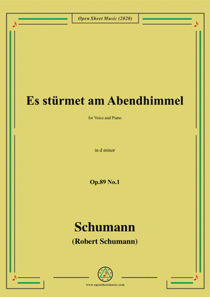 Book cover for Schumann-Es stürmet am Abendhimmel,Op.89 No.1,in d minor