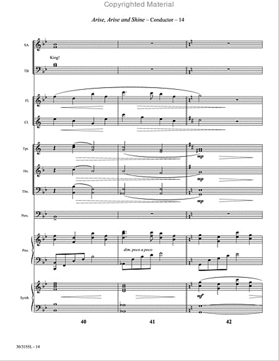 Arise, Arise and Shine! - Orchestral Score and Parts Choir scores gallery preview page 15