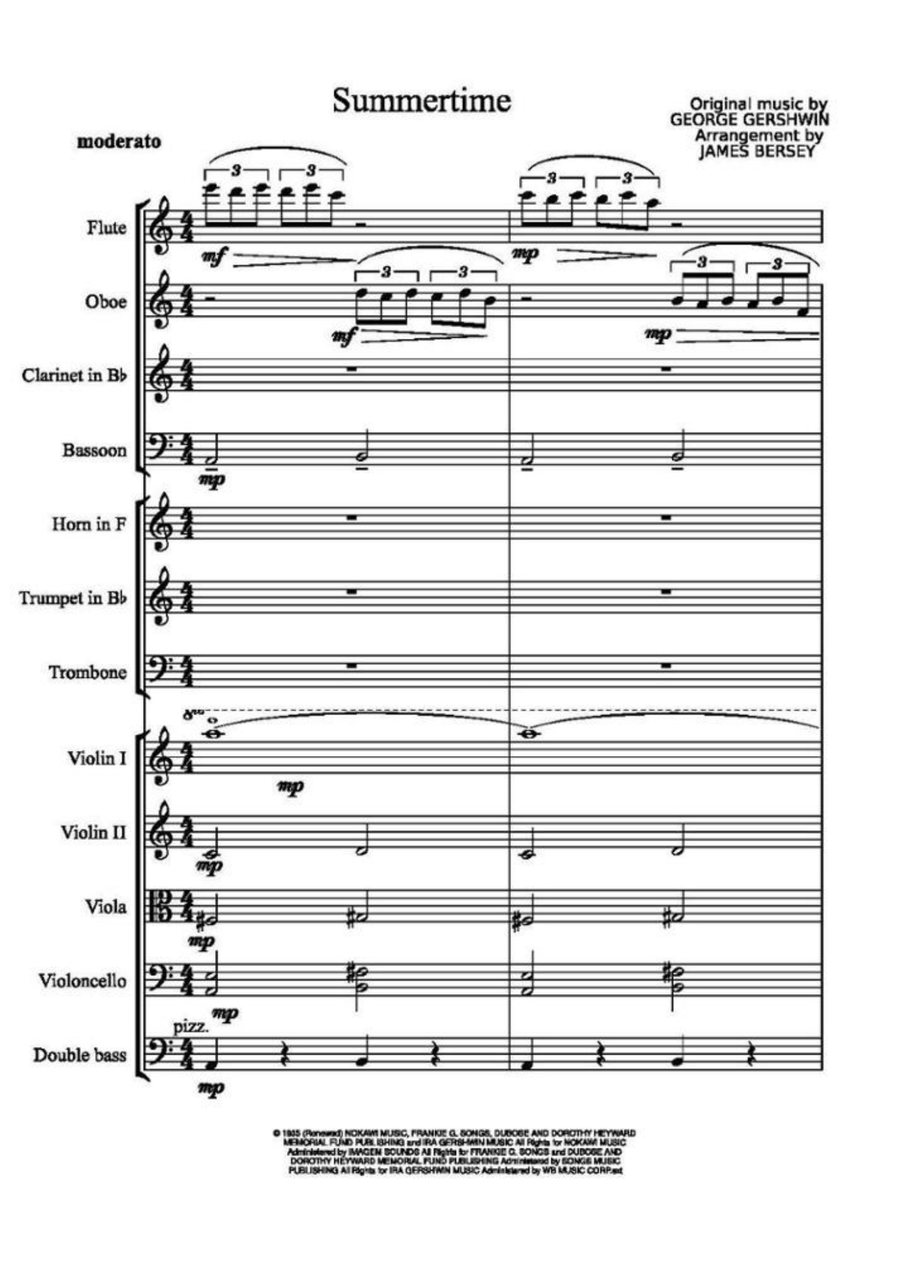 Summertime Chamber Orchestra scores gallery preview page 3
