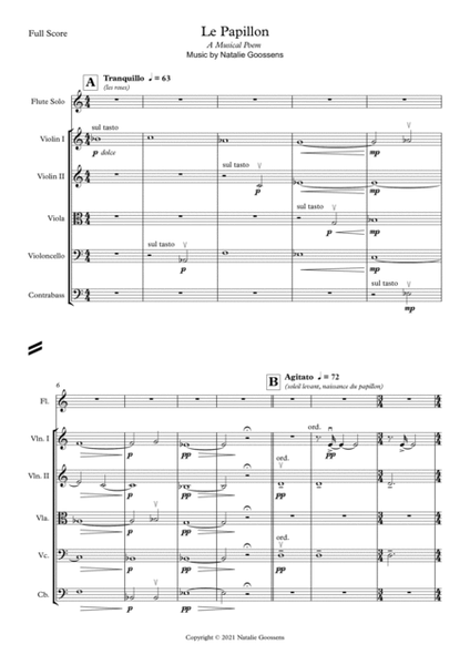 Le Papillon - A Musical Poem for Flute Solo & String Orchestra