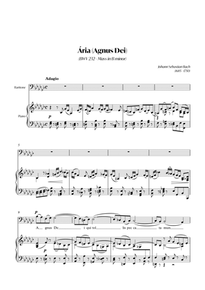 Aria (Agnus dei) from the Mass in B Minor (BACH) - Baritone_Ebm