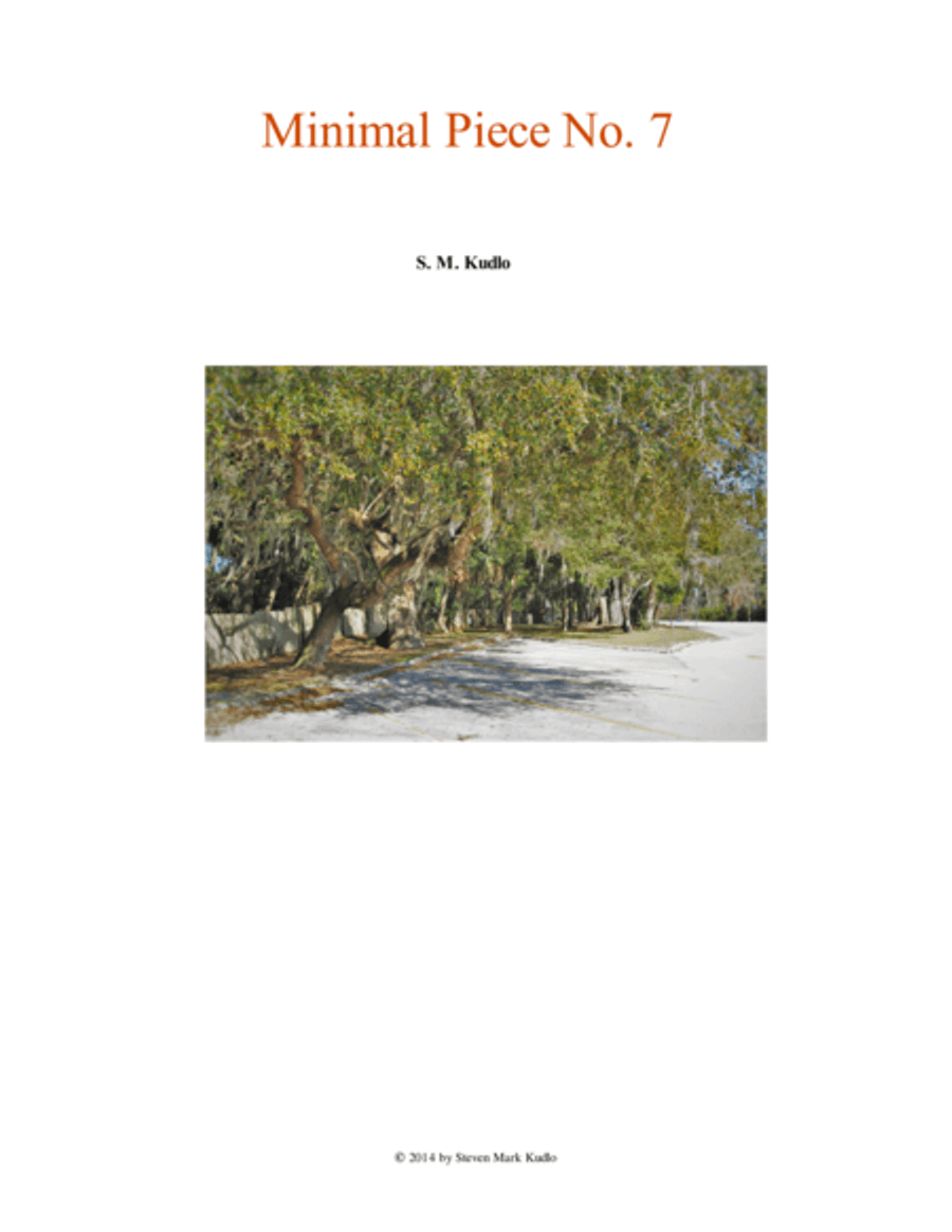 Minimal Piece for Chamber Orchestra with Piano Obbligato Chamber Orchestra scores gallery preview page 1