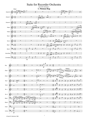 Meinau Rag for recorder orchestra