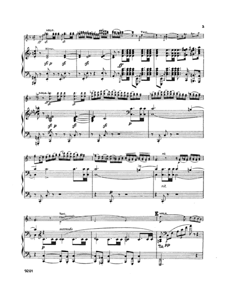 Bruch: Violin Concerto in D Minor, Op. 44