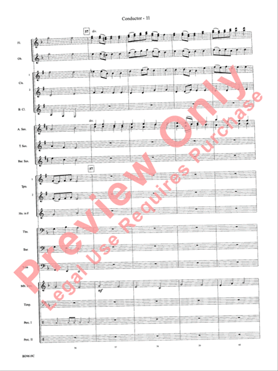 Hatikvah Hatikvah Concert Band scores gallery preview page 14