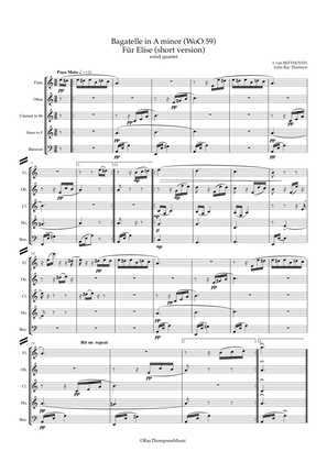 Beethoven: Bagatelle in A minor WoO 59 “Für Elise" (Short version) - wind quartet