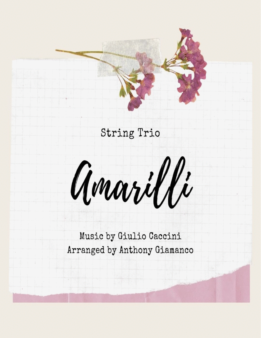 Amarilli - string trio image number null