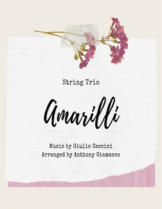 Book cover for Amarilli - string trio