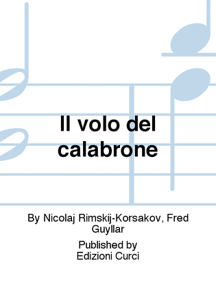 Book cover for Il volo del calabrone