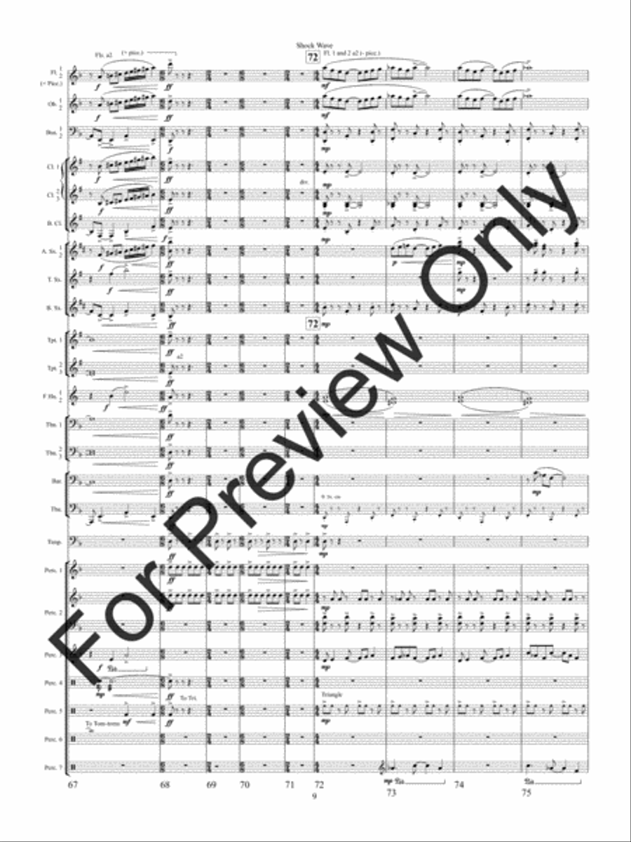 Shock Wave (Score) Concert Band scores gallery preview page 12