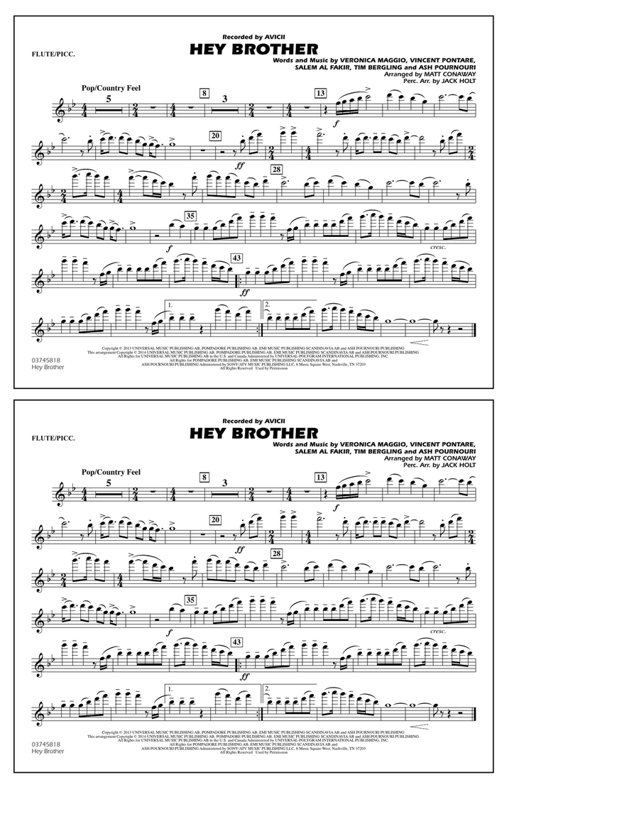 Hey Brother - Flute/Piccolo Marching Band scores gallery preview page 1