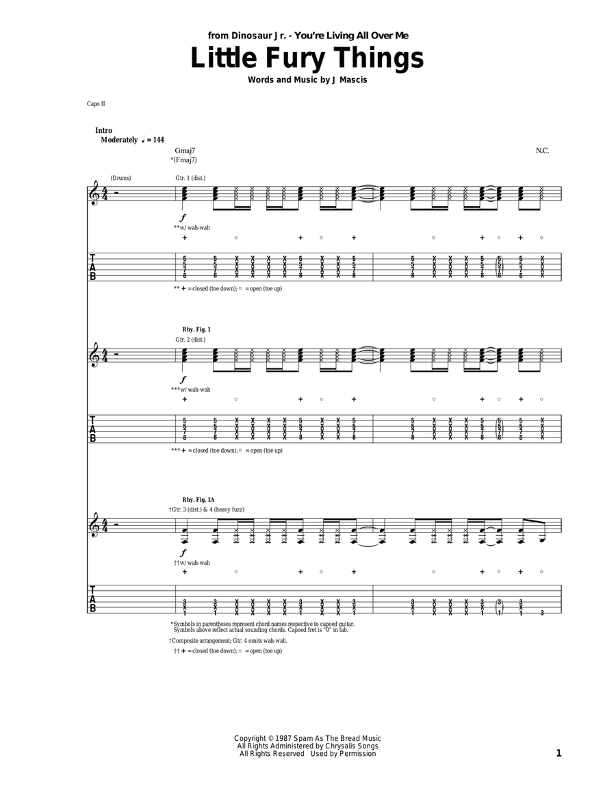 Little Fury Things Acoustic Guitar scores gallery preview page 1