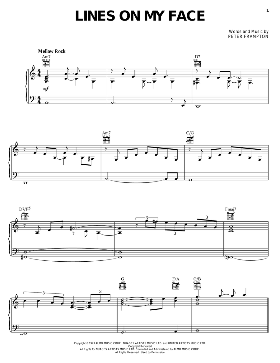 Lines On My Face Piano, Vocal, Guitar scores gallery preview page 1
