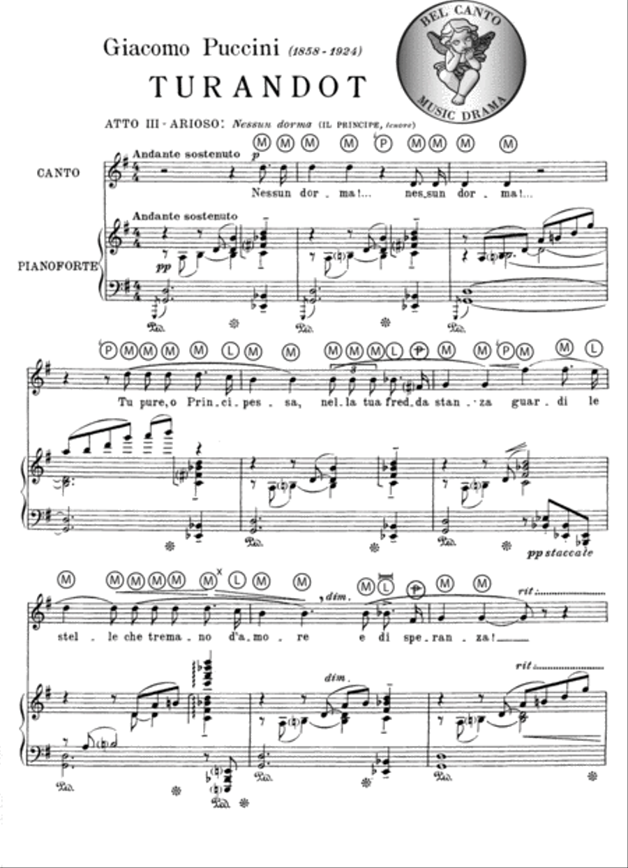 Nessun dorma Nessun dorma Tenor Voice scores gallery preview page 4