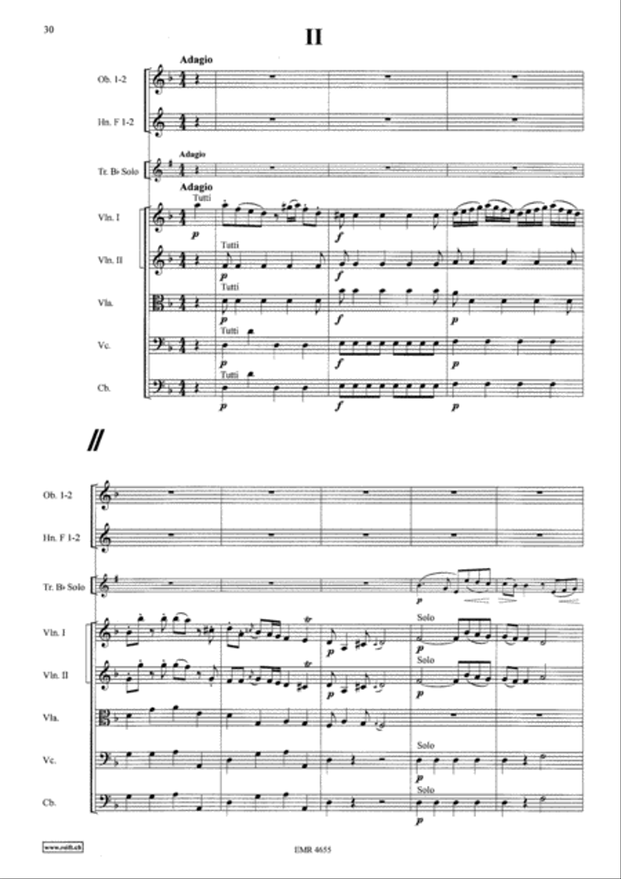 Concerto in D Major Concerto in D Major Orchestra scores gallery preview page 14