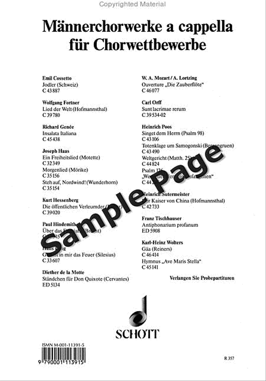 Durch Einsamkeiten Durch Einsamkeiten TTBB scores gallery preview page 9