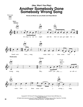 Book cover for (Hey, Won't You Play) Another Somebody Done Somebody Wrong Song