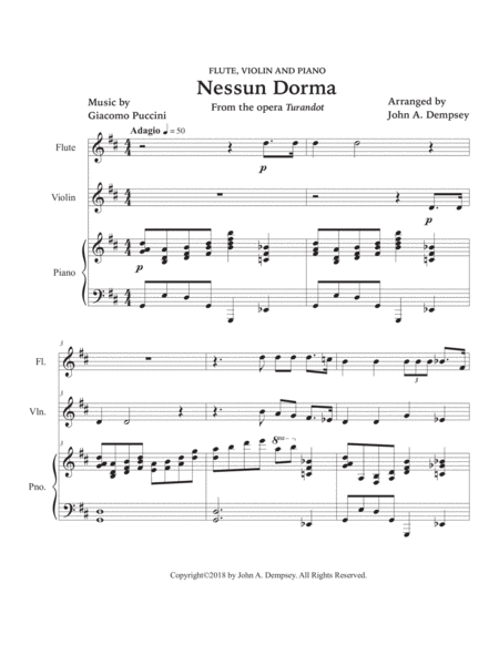 Nessun Dorma (Trio for Flute, Violin and Piano) image number null