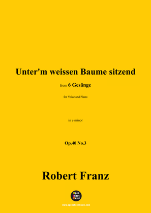 R. Franz-Unterm weissen Baume sitzend,in e minor,Op.40 No.3