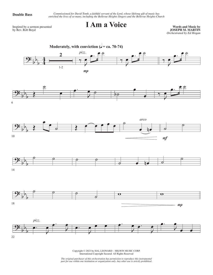 Book cover for I Am A Voice - Double Bass