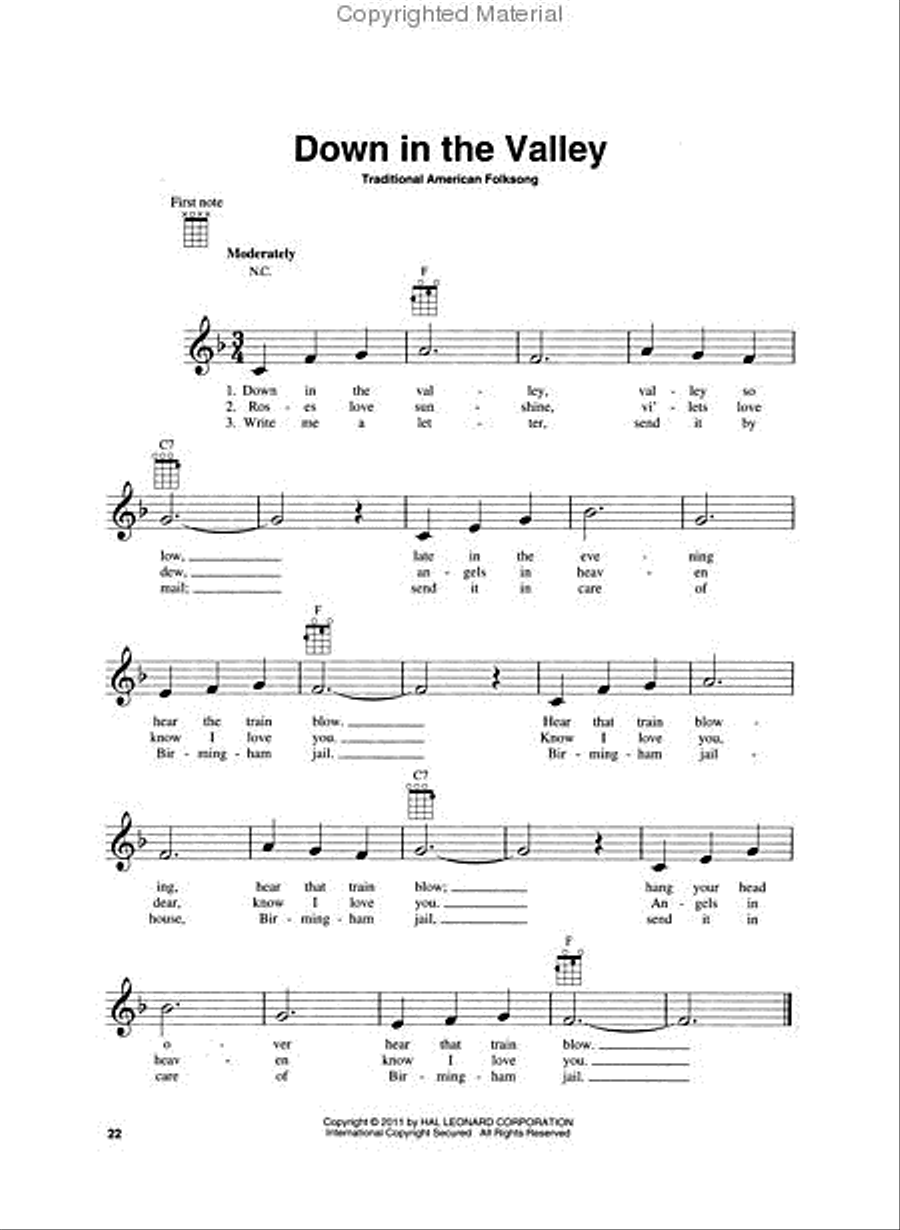 Ukulele folk shop music
