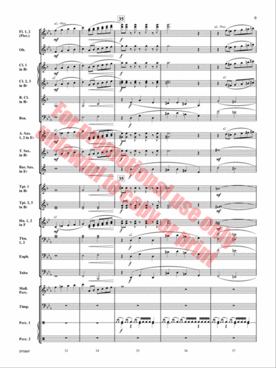 The Hornet's Nest Concert Band scores gallery preview page 10