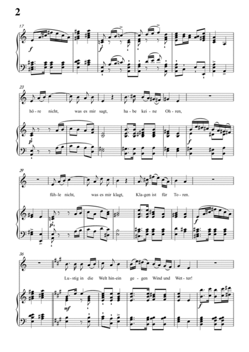 Schubert-Mut!,from 'Winterreise',Op.89(D.911) No.22 in a minor,for Vocal and Piano