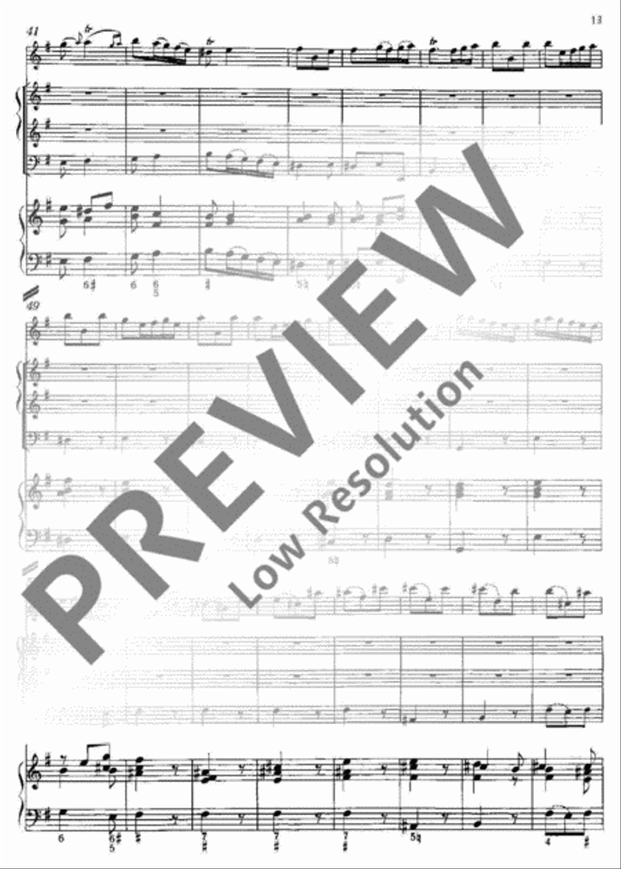 Concerto E minor Concerto E minor Flute Solo scores gallery preview page 14