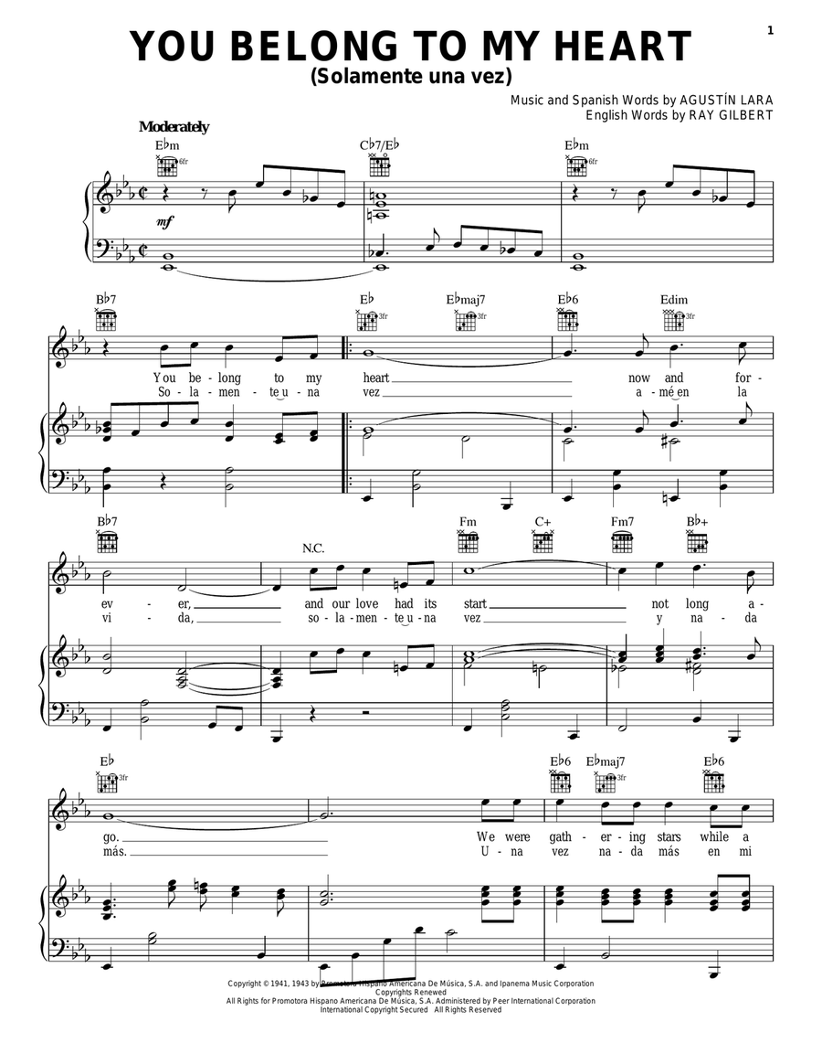 You Belong To My Heart (Solamente Una Vez) Piano, Vocal, Guitar scores gallery preview page 1