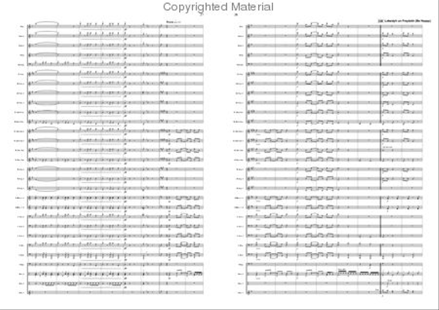 Klezmer Discovery Klezmer Discovery Concert Band scores gallery preview page 14