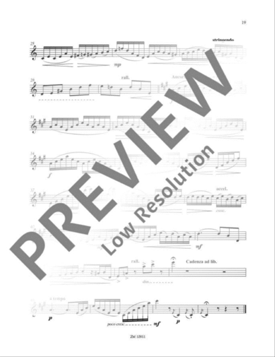 The Flutists Progress Flute Duet scores gallery preview page 20