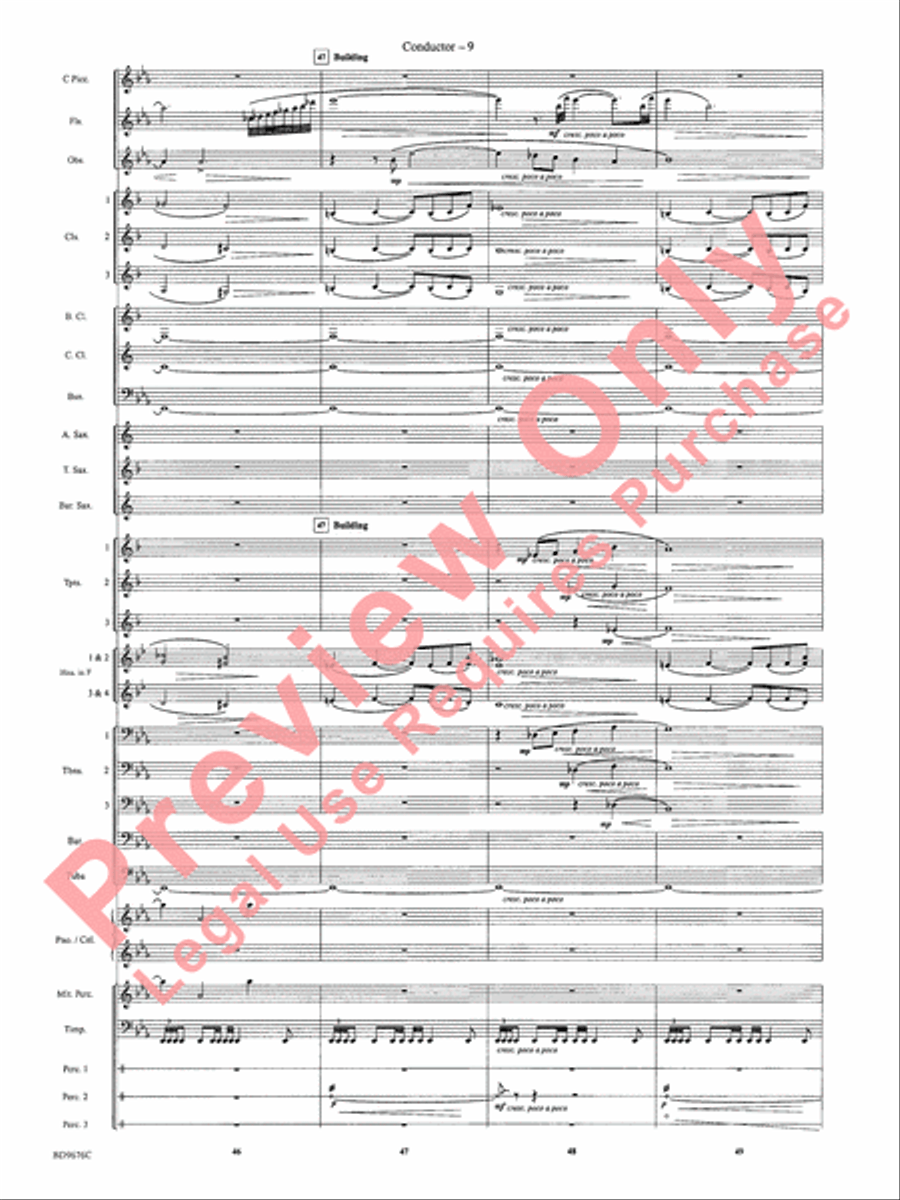 Paradiso Paradiso Concert Band scores gallery preview page 12