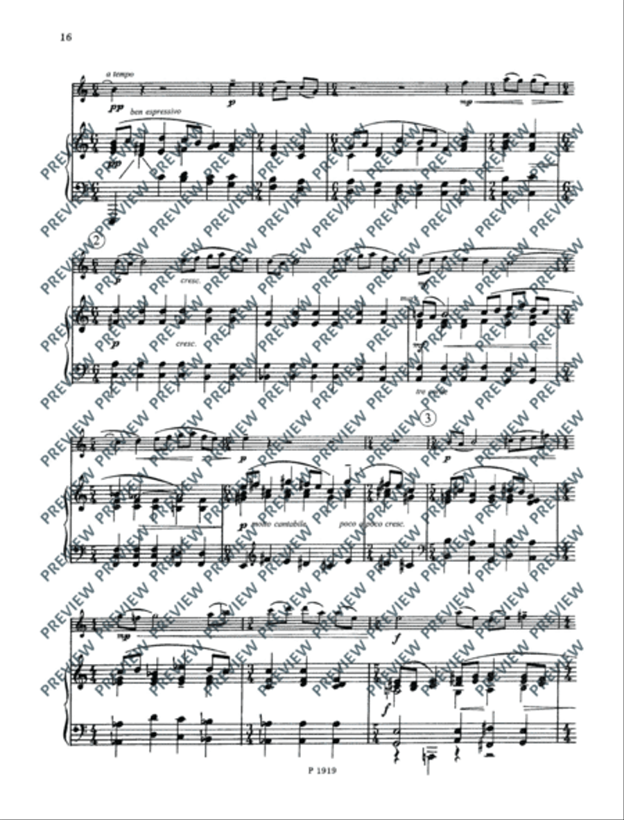 Sonata Piano Accompaniment scores gallery preview page 17