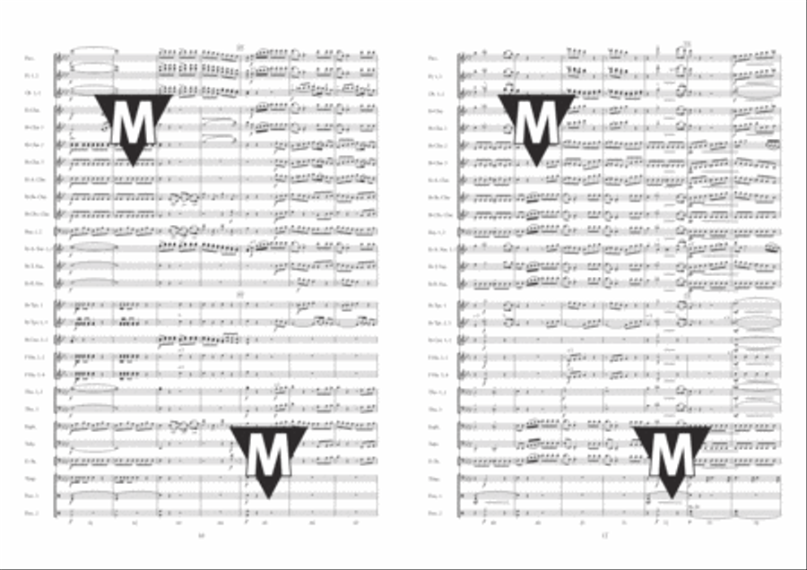 Il Barbiere di Siviglia Concert Band scores gallery preview page 7