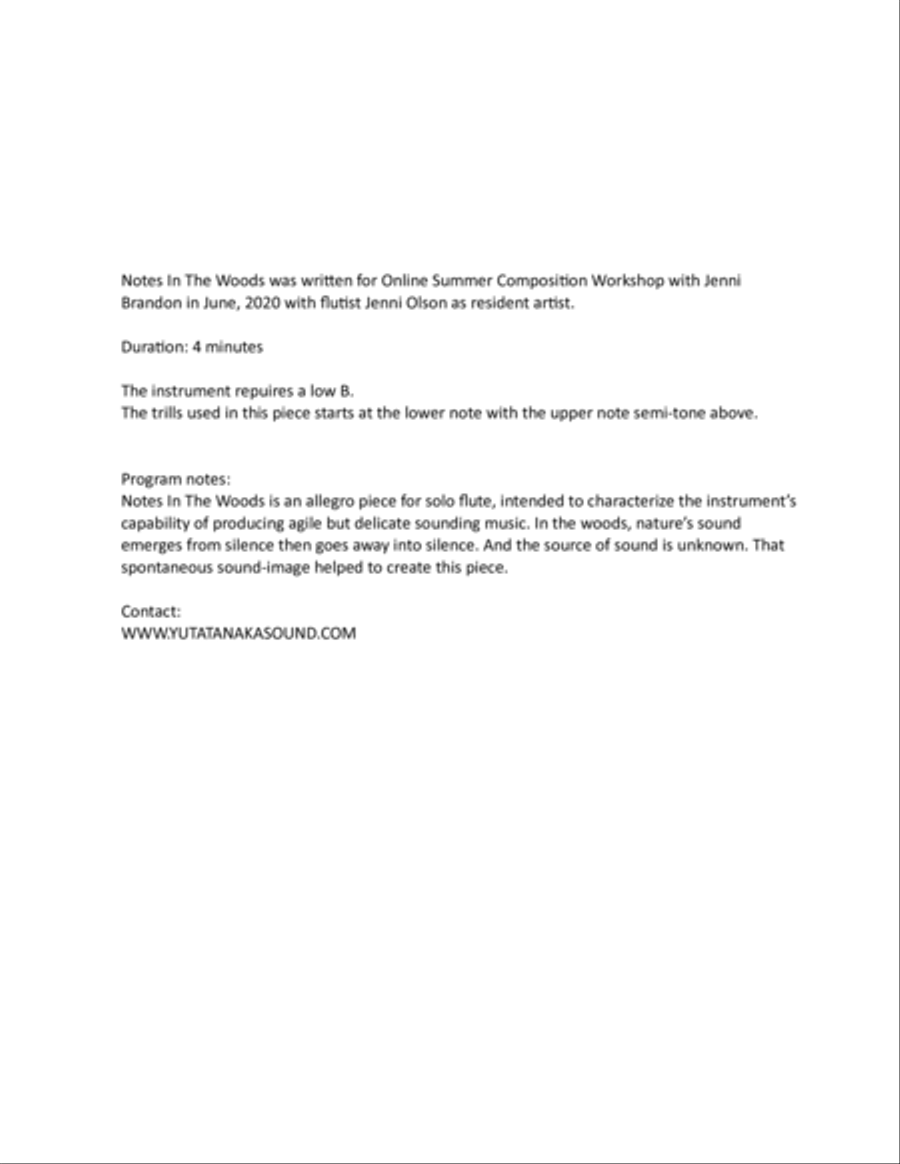 Notes In the Woods for solo flute Flute Solo scores gallery preview page 2